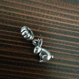 Retired rabbit charm